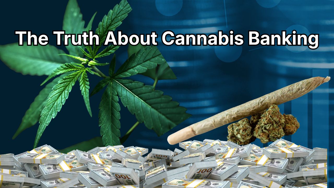 'Absolutely Not': Cannabis Banking Giant Says Federal Reform Would Make Its Business Boom—not Obsolete  - Article cover image